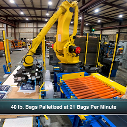 PALLETIZING SYSTEMS FOR BAGS
