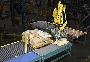 IT-PLT-BR-01 Automated palletizing robot system