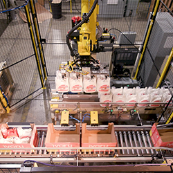 Case Packing Robot