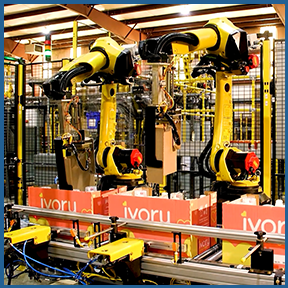 Automated System with Dual Robots Inserting Dividers into Trays