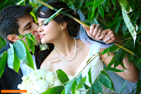 john-ly-photography25.jpg
