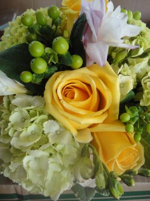 2012-03-17-14.57.40.jpg