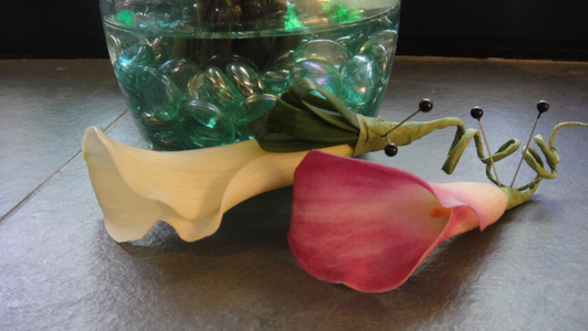 2012-06-09-10.56.36.jpg