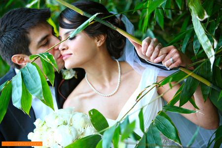 john-ly-photography25.jpg