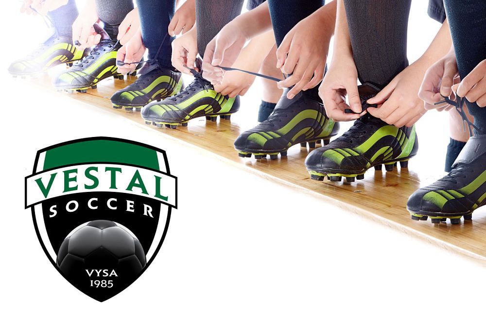VYSA Header Photo 2015_opt (1).jpg