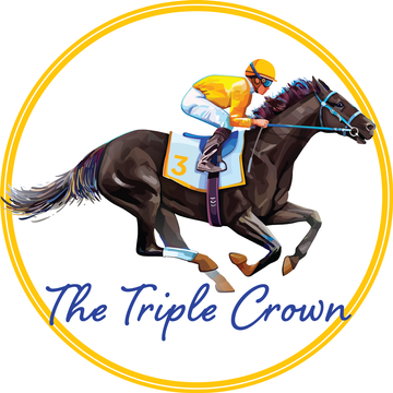 Website Homepage Graphic.png