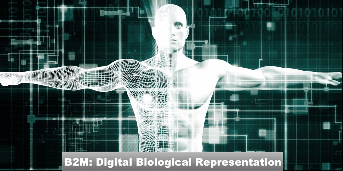 B2M_Digital_Biological_Representation_1200x600.jpg