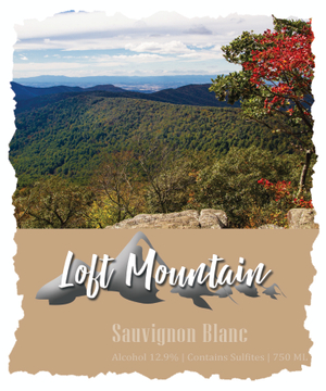 loft mountain7.jpg