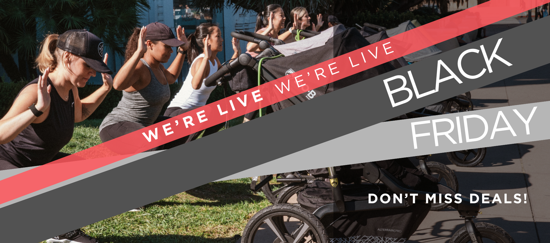 HQ COPY FRAN - FREE - Black Friday -  Website Slider.png