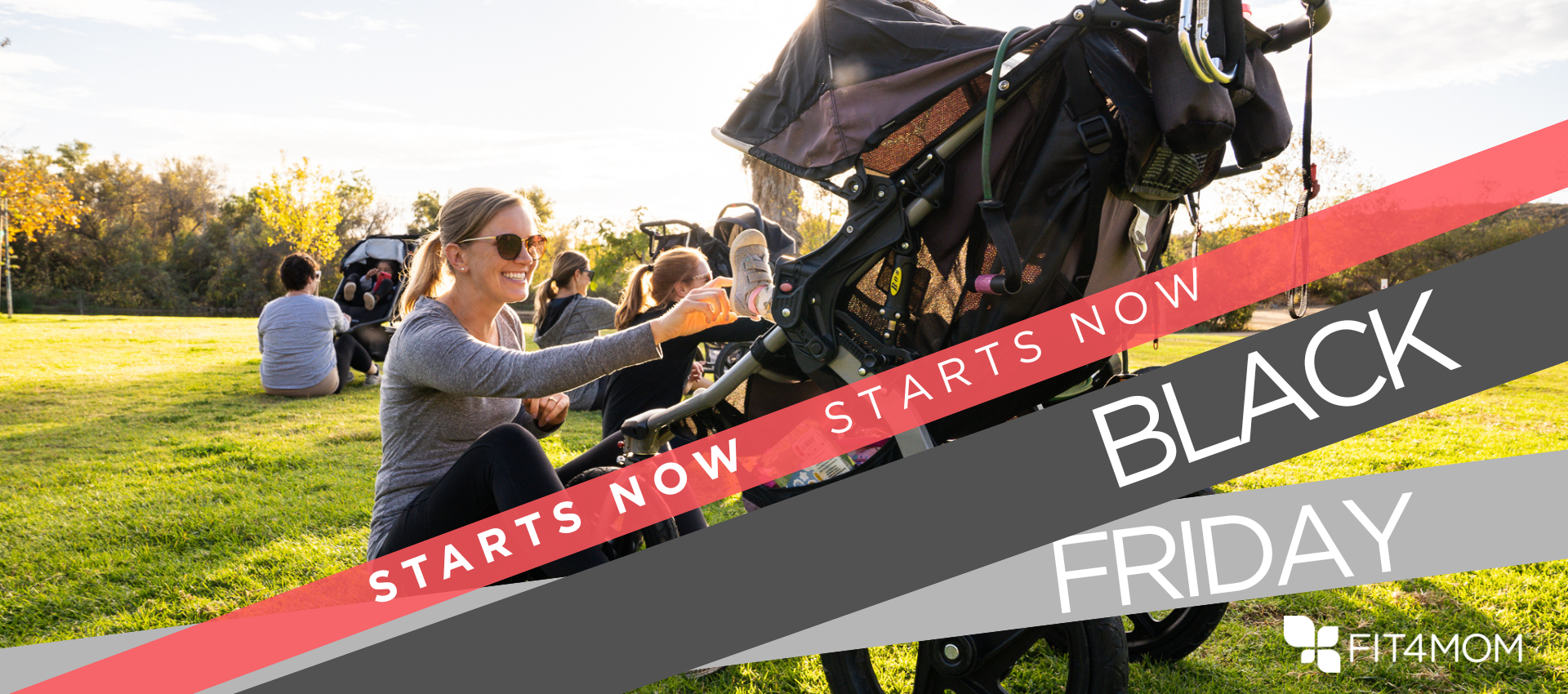 Black Friday Website Sliders (3).png