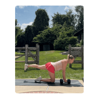 FIT4MOM dumbbell exercises for moms bird dog row.gif