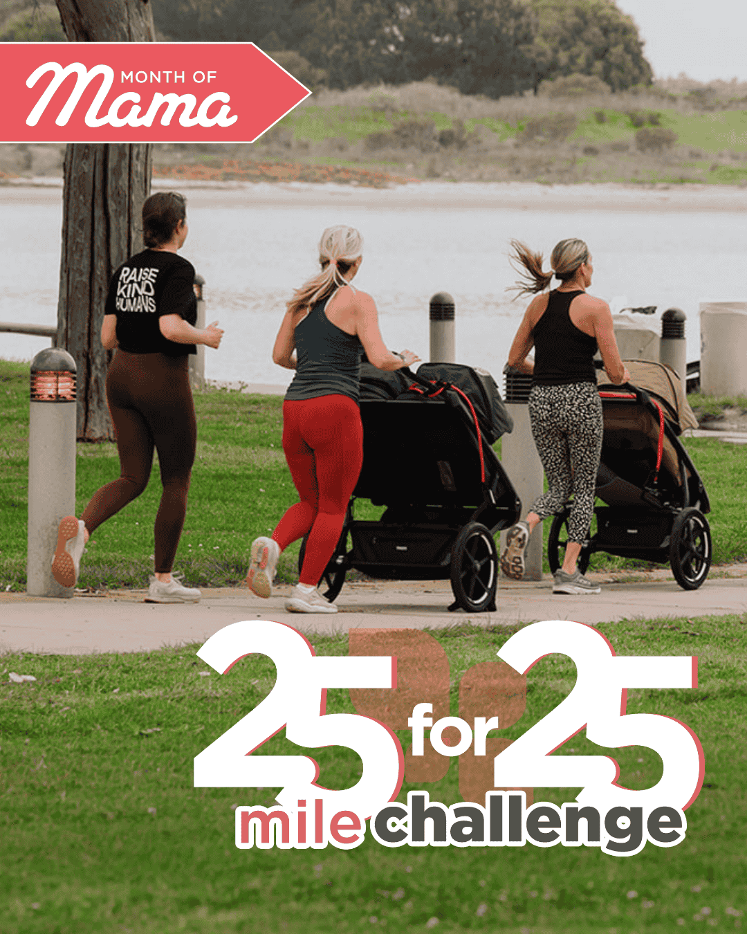 HQ 25 for 25 FEED walk challenge lp.png