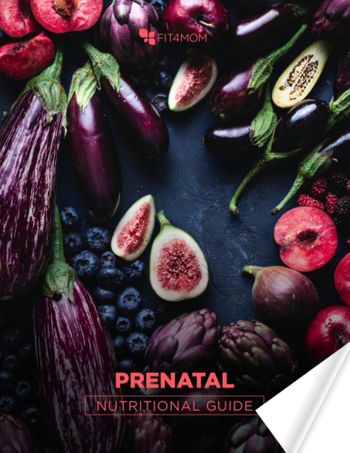 Prenatal Guide Cover Art.jpg