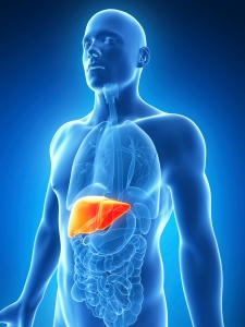 Hepatitis-C-liver-225x300.jpg