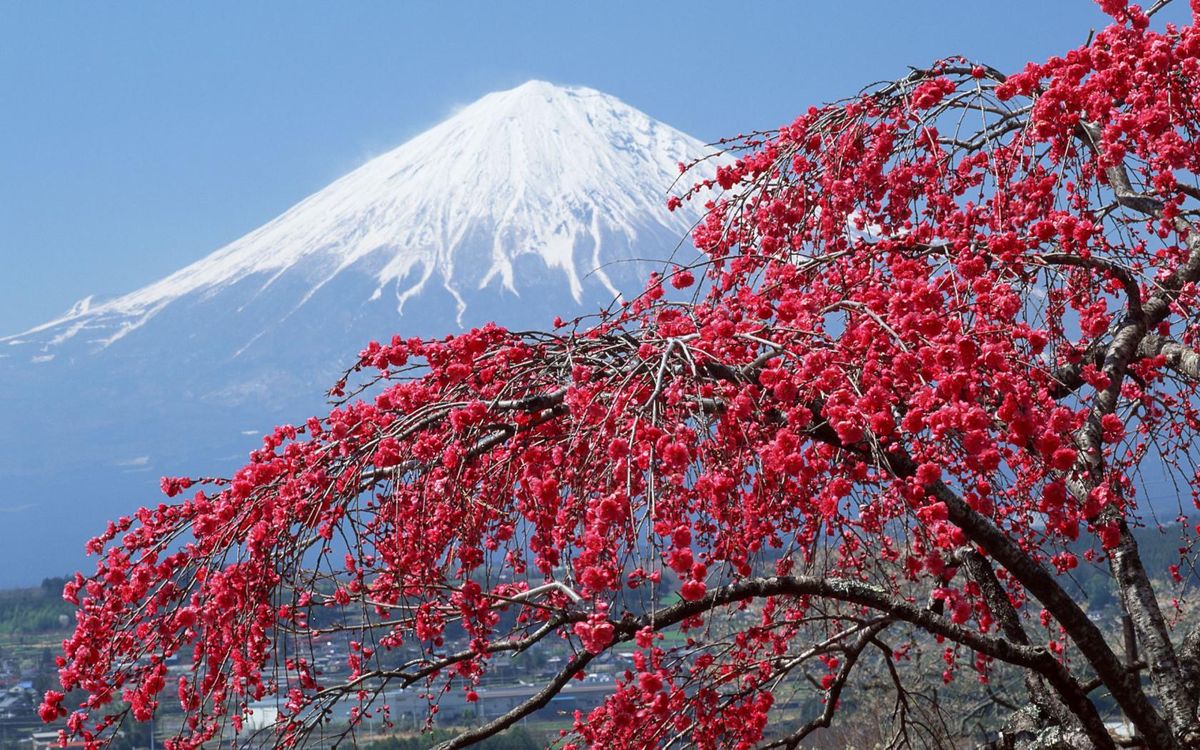 Mount Fuji