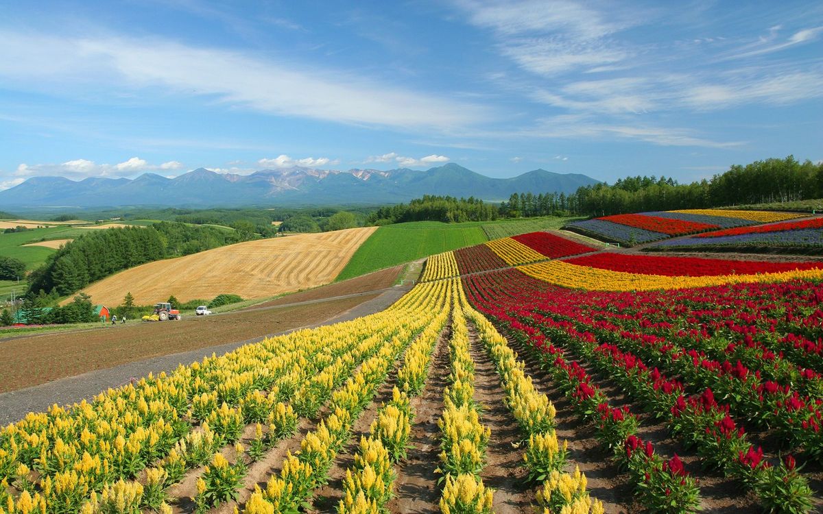 Hokkaido, Japan