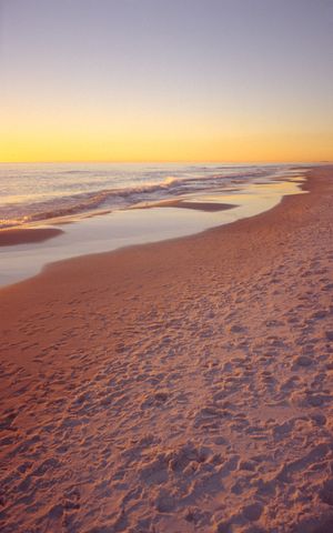 The Beach