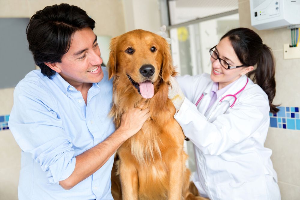 Veterinary Compounding for Pets