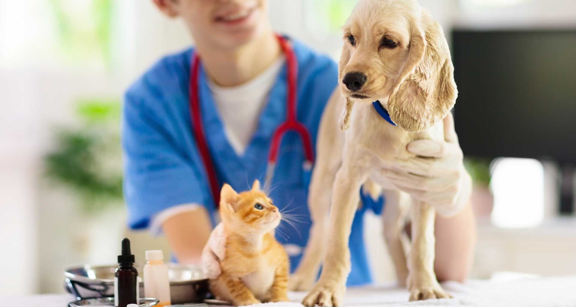 Veterinary Compounding for Pets