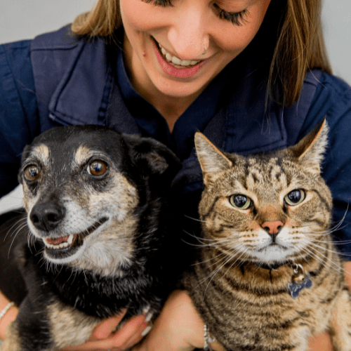Veterinary Compounding for Pets
