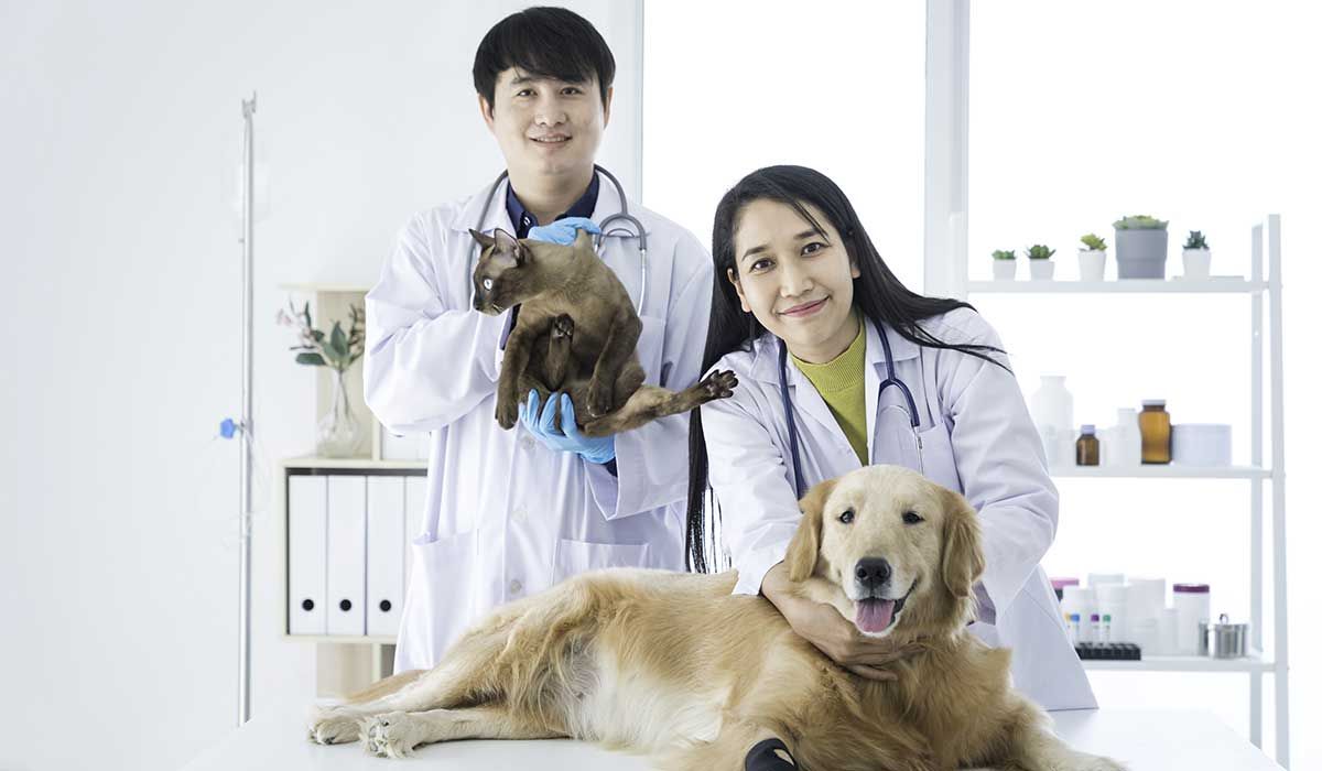 Veterinary Compounding for Pets
