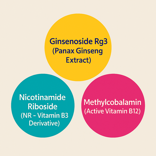 Synapsin® Active Ingredients – Ginsenoside Rg3, Nicotinamide Riboside, Methylcobalamin