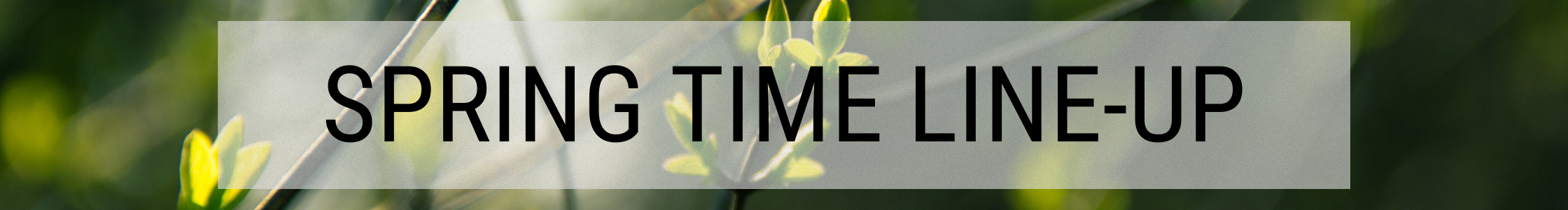 Spring time line-up.png