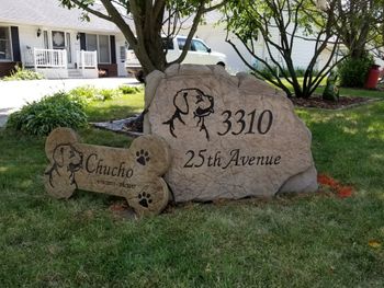 20180709_150516.jpg