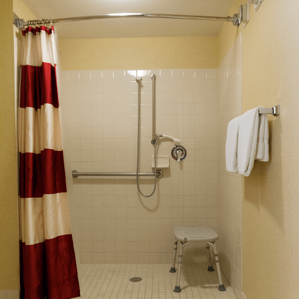 Walk In Shower With Grab Bars