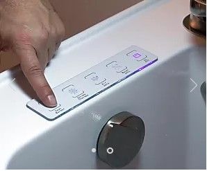 Sanitizing System button.jpg