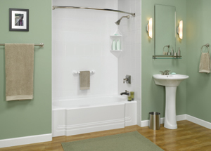 Finished In One Day! Toledo_Bath_Refinished.jpg