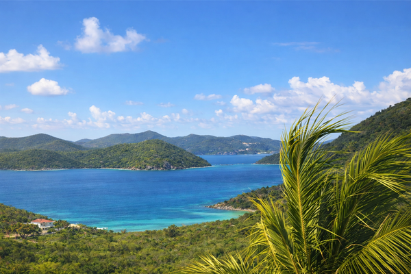 Villallure bay vista with palm.png