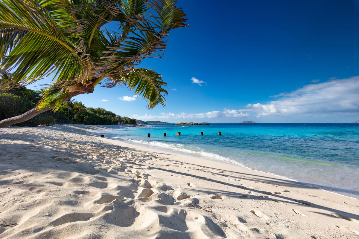 St. John beach with palm tree.jpg