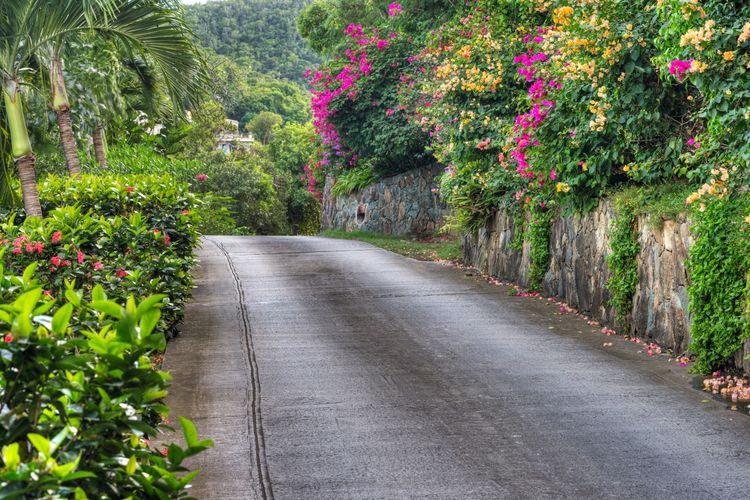 St. John Road with flowers.jpg