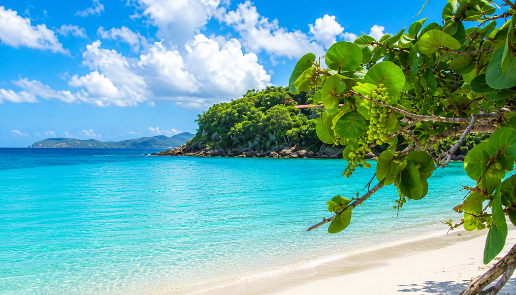 VillAllure Trunk Bay Image