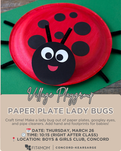 lady bug craft.png