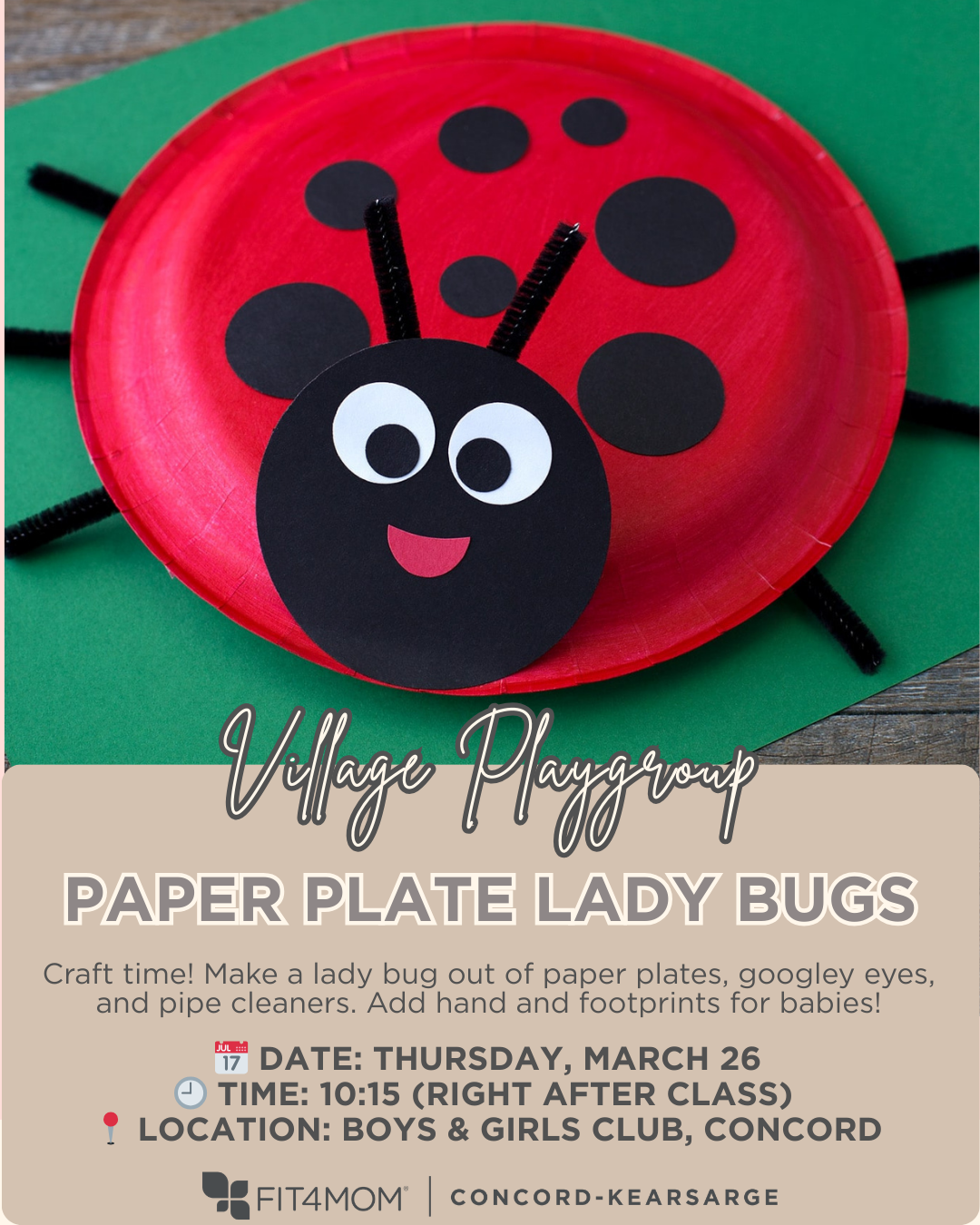 lady bug craft.png