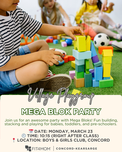 mega blok party.png