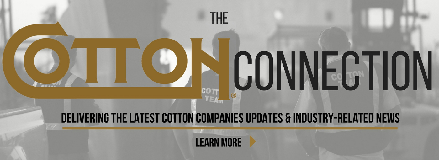 News Cotton Holdings Inc.