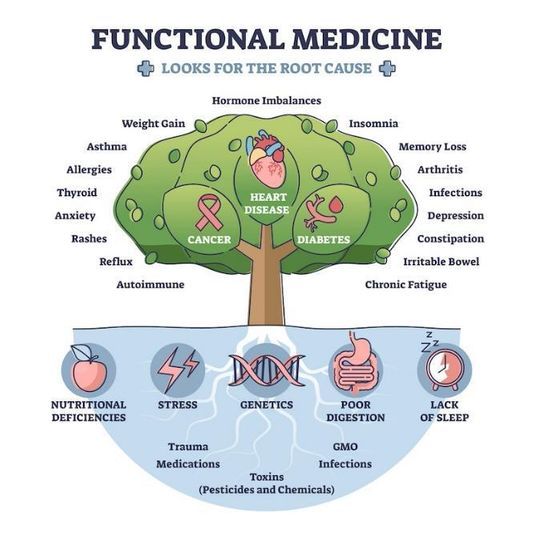 What is Functional Medicine?