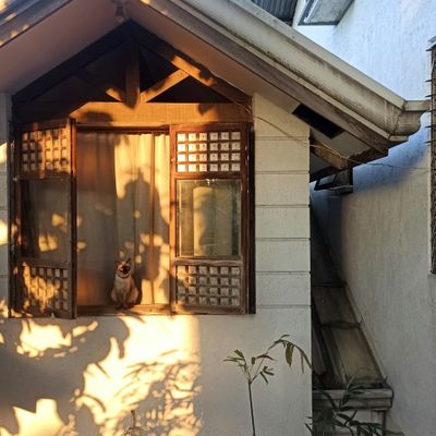 Advantages of Using a LLC for Rental Property Ownership | Millan + Co., CPAs and Consultants | Austin, TX LLC Advantages for Property Ownership