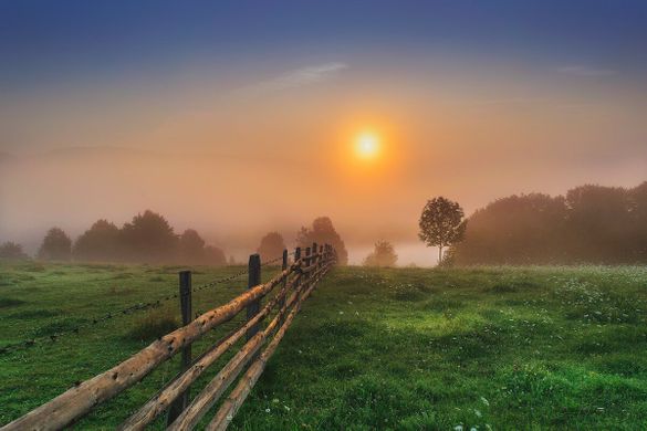 Bonus Depreciation Rules for 2025+ | Millan and Company CPAs | Austin, TX Bonus Depreciation Rules for 2025+ | Millan and Company CPAs | Austin, TX