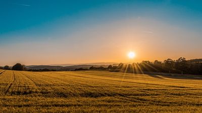 An image of a sunset over a field of fresh cut hay serves as an illustration for the article entitled "Land Trusts: Tax Benefits and Considerations  