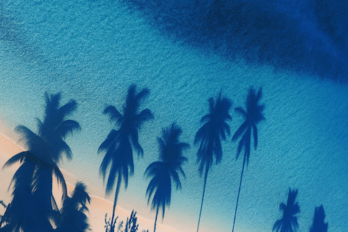 2026 IRS Tax Brackets, Standard Deductions, Capital Gains +AMT