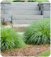 Landscaping-web2.png