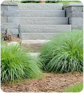 Landscaping-web2.png