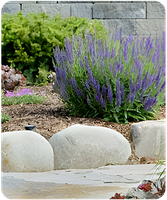 Landscaping-web1.png