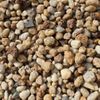 Golden-Silica-250x250.jpg